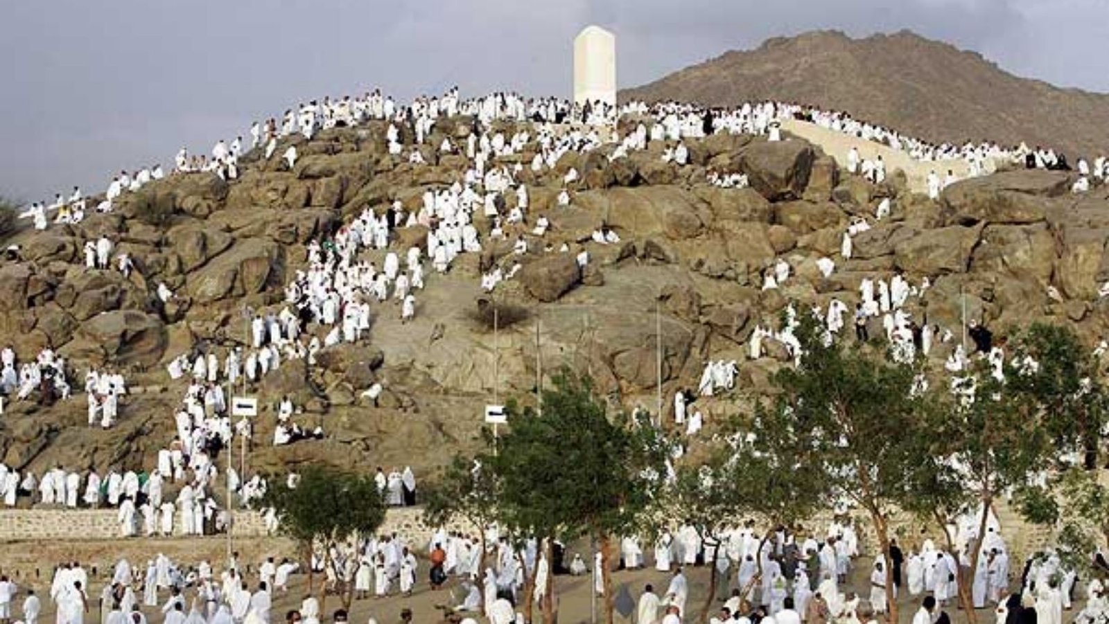 Pilgrims swarm Mount Arafat in the largest post-restriction Hajj